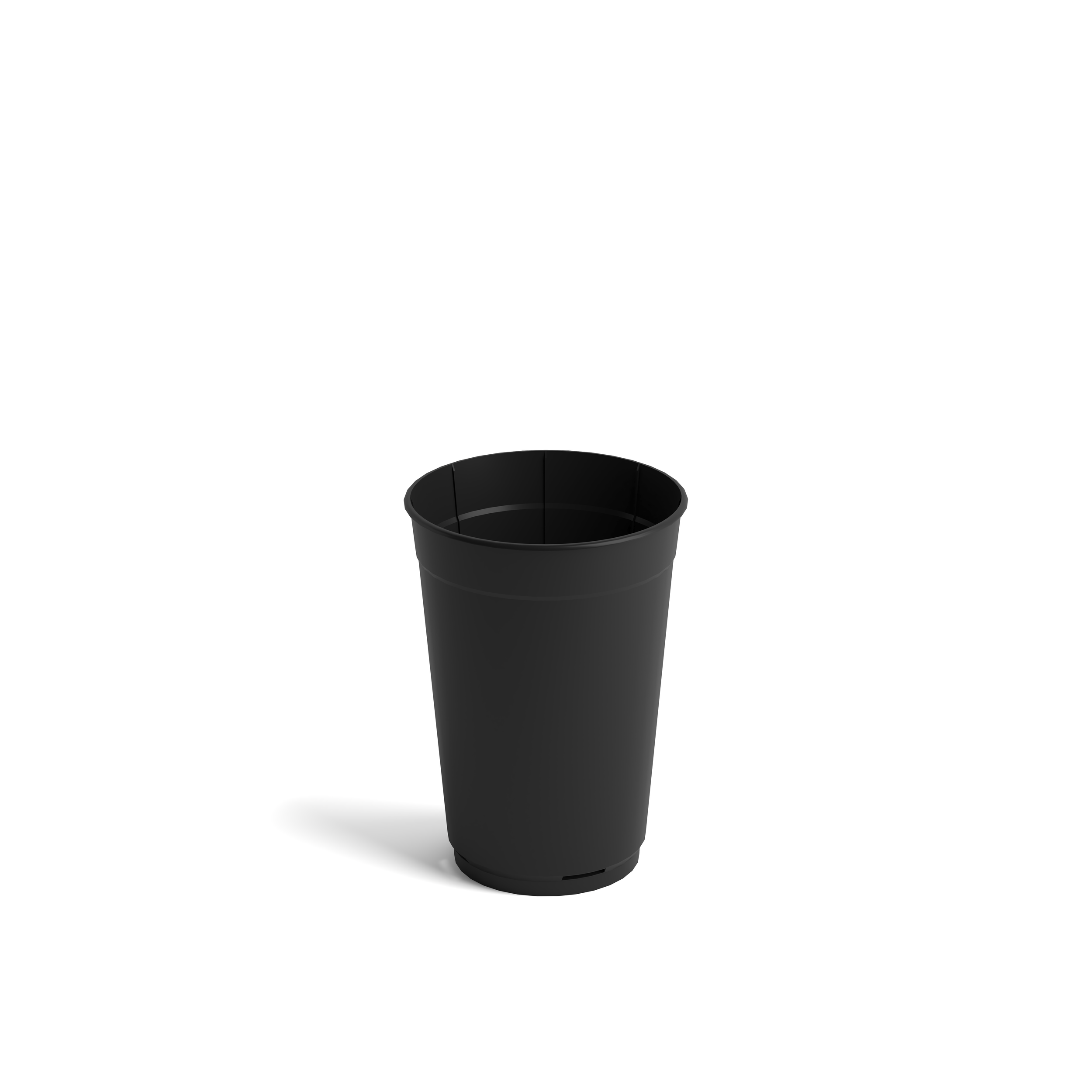 C19R0002