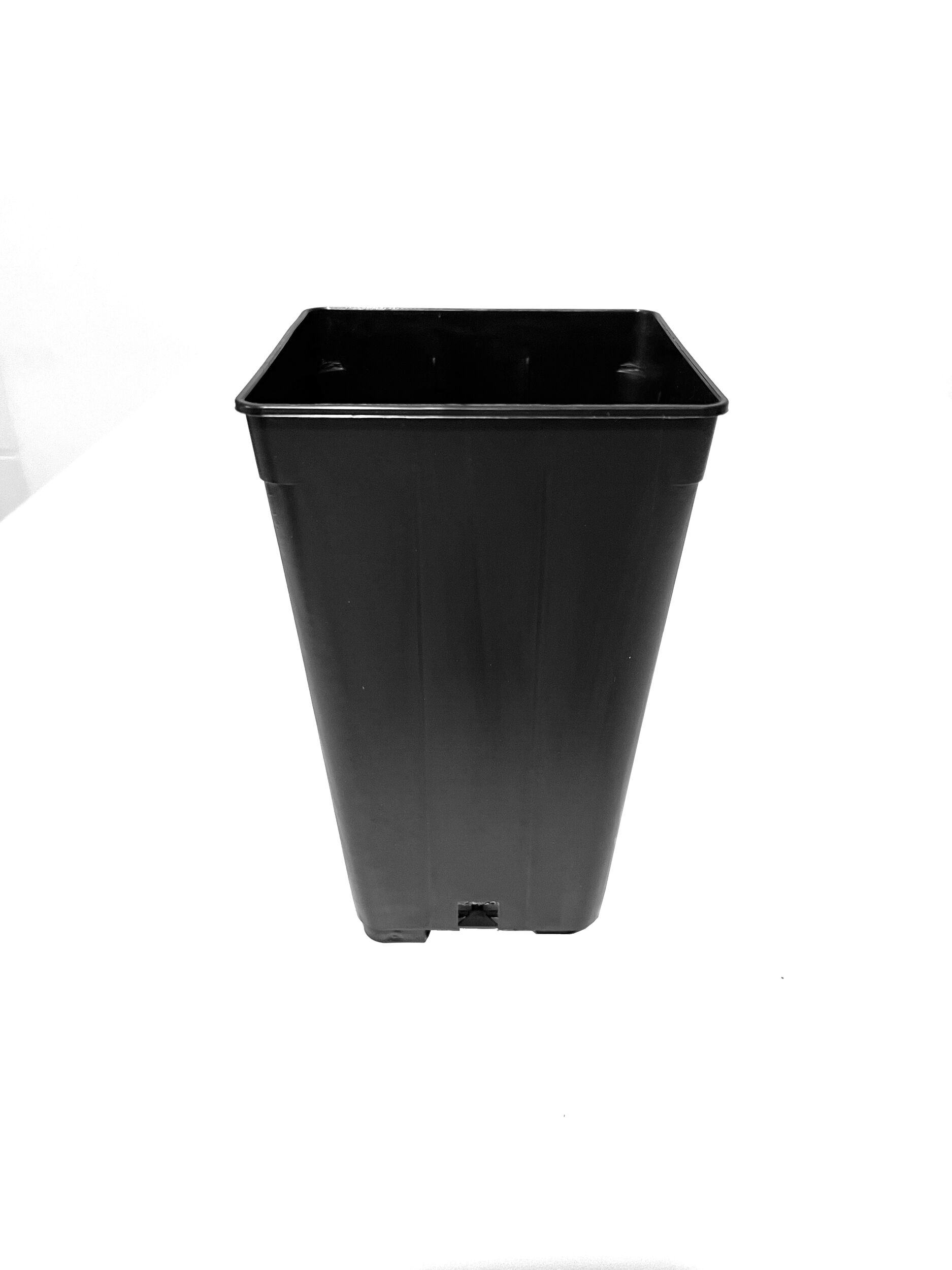 CC-20191